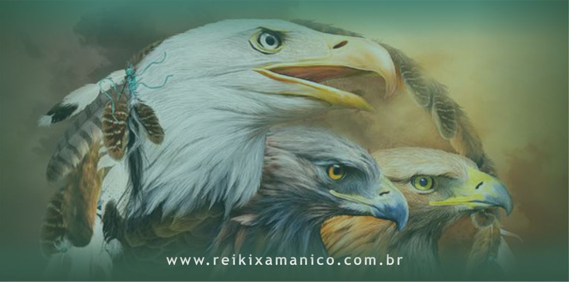 Animais de Poder Animais de Poder